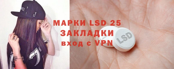 прущие грибы Козельск