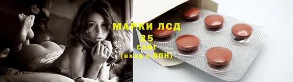 прущие грибы Козельск