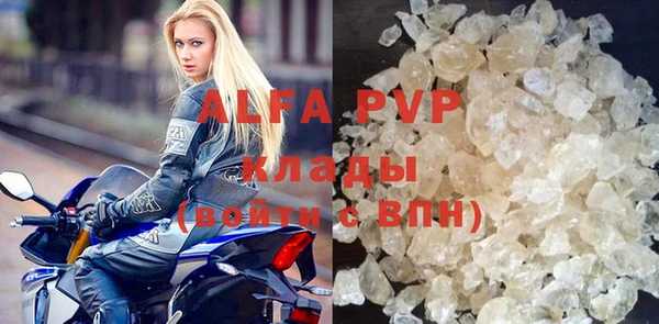 ПСИЛОЦИБИНОВЫЕ ГРИБЫ Пересвет