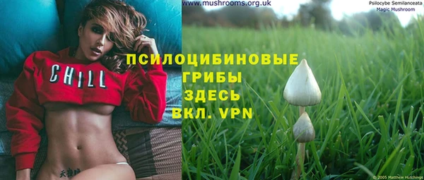 прущий лед Кинешма