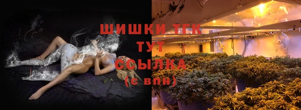 ПСИЛОЦИБИНОВЫЕ ГРИБЫ Пересвет