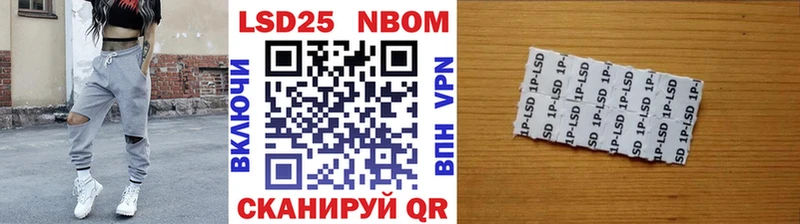 маркетплейс Telegram  Котлас  мега маркетплейс  Наркотические марки 1,8мг  купить наркотики сайты 
