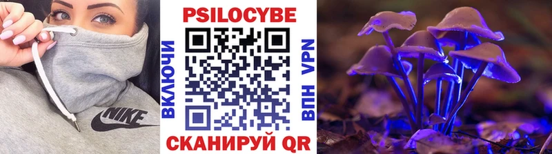 Псилоцибиновые грибы GOLDEN TEACHER  Котлас 