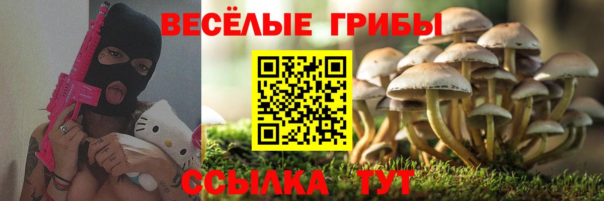 Котлас  Галлюциногенные грибы MAGIC MUSHROOMS  Вход с VPN  Галлюциногенные грибы мицелий 