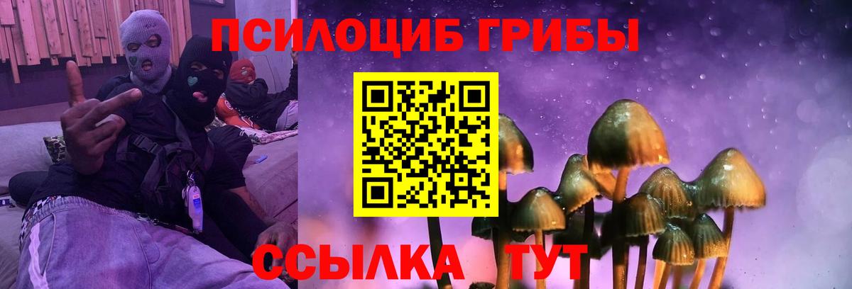 Галлюциногенные грибы ЛСД Котлас